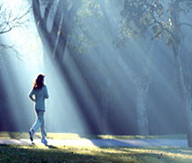 Training das Spass macht